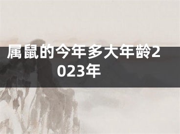 属鼠的今年多大年龄2023年