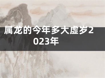 属龙的今年多大虚岁2023年