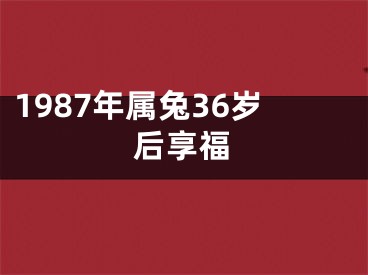 1987年属兔36岁后享福