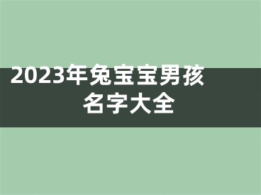 2023年兔宝宝男孩名字大全