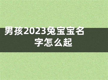 男孩2023兔宝宝名字怎么起