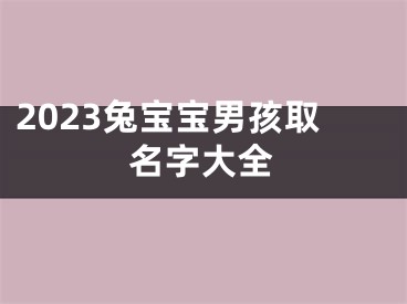 2023兔宝宝男孩取名字大全