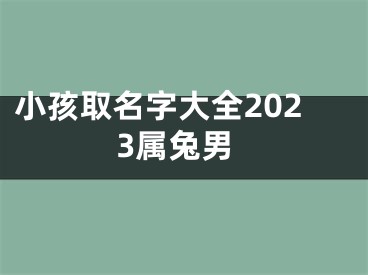 小孩取名字大全2023属兔男