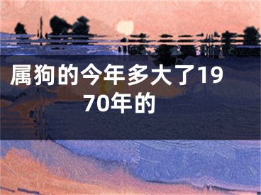 属狗的今年多大了1970年的