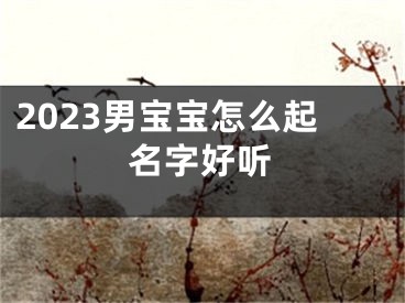 2023男宝宝怎么起名字好听