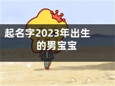 起名字2023年出生的男宝宝