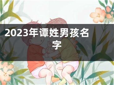 2023年谭姓男孩名字