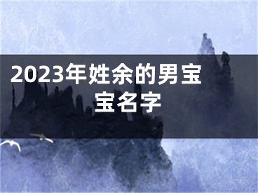 2023年姓余的男宝宝名字