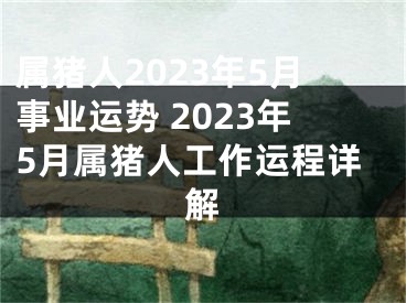 属猪人2023年5月事业运势 2023年5月属猪人工作运程详解