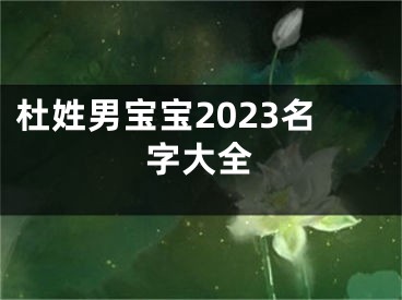 杜姓男宝宝2023名字大全