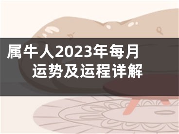 属牛人2023年每月运势及运程详解