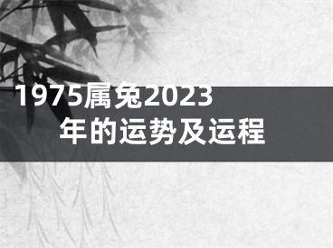 1975属兔2023年的运势及运程