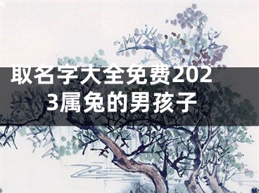 取名字大全免费2023属兔的男孩子