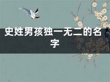 史姓男孩独一无二的名字