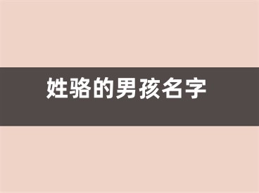 姓骆的男孩名字