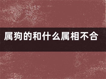 属狗的和什么属相不合