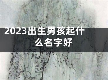 2023出生男孩起什么名字好