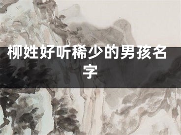 柳姓好听稀少的男孩名字