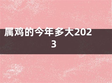 属鸡的今年多大2023