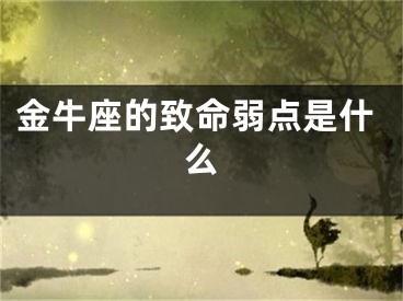 金牛座的致命弱点是什么