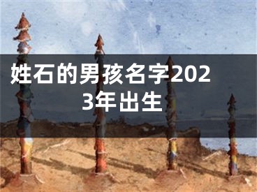 姓石的男孩名字2023年出生