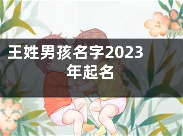 王姓男孩名字2023年起名