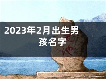 2023年2月出生男孩名字