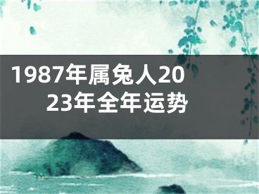 1987年属兔人2023年全年运势