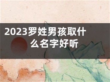 2023罗姓男孩取什么名字好听