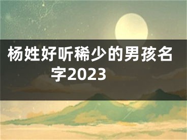 杨姓好听稀少的男孩名字2023