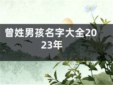 曾姓男孩名字大全2023年