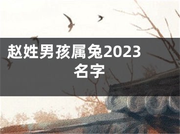 赵姓男孩属兔2023名字