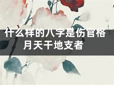 什么样的八字是伤官格 月天干地支者