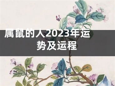 属鼠的人2023年运势及运程