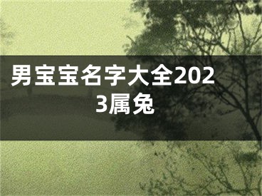 男宝宝名字大全2023属兔