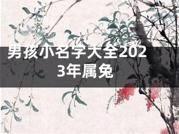 男孩小名字大全2023年属兔