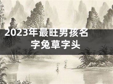 2023年最旺男孩名字兔草字头