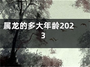 属龙的多大年龄2023