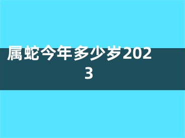 属蛇今年多少岁2023