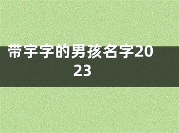 带宇字的男孩名字2023