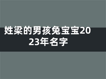 姓梁的男孩兔宝宝2023年名字