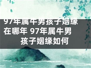 97年属牛男孩子姻缘在哪年 97年属牛男孩子姻缘如何