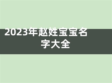 2023年赵姓宝宝名字大全