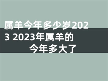 属羊今年多少岁2023 2023年属羊的今年多大了