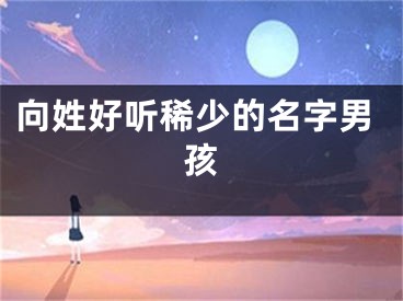 向姓好听稀少的名字男孩