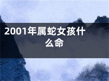 2001年属蛇女孩什么命