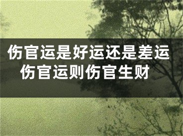 伤官运是好运还是差运 伤官运则伤官生财