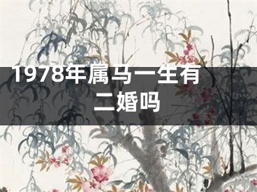 1978年属马一生有二婚吗