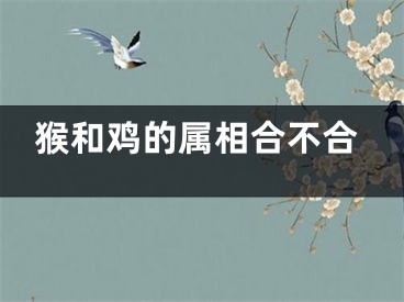 猴和鸡的属相合不合