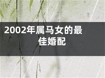 2002年属马女的最佳婚配